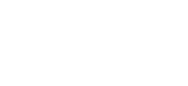 Trips In Egypt
