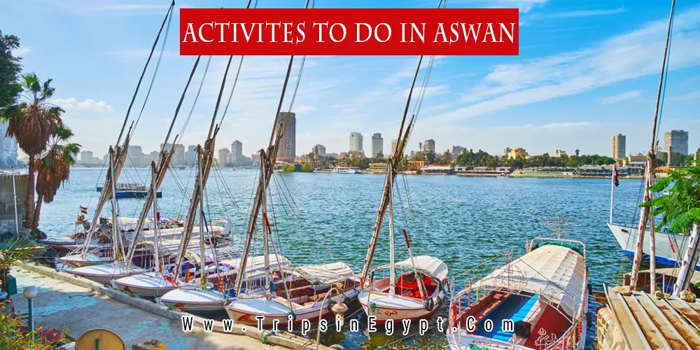 Activities to Do in Aswan Activities to Do in Aswan - Trips in Egypt