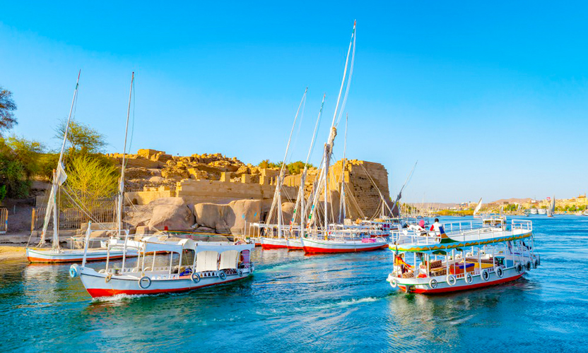 Cairo and Nile Cruise Package | 8 Days Egypt Tour Cairo and Nile Cruise Holidays