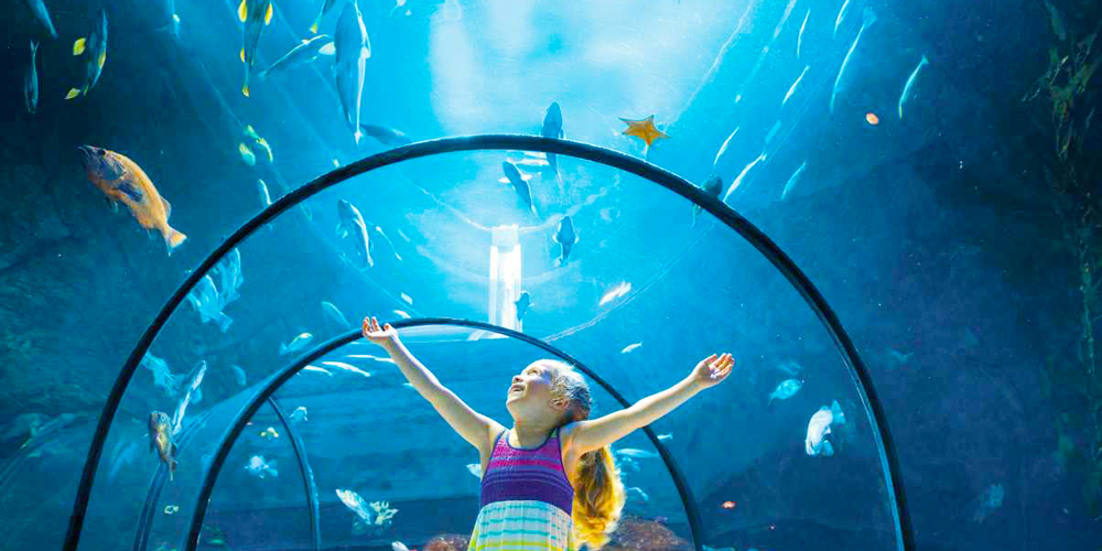 Grand Aquarium of Hurghada – Hurghada city Tour – Trips in Egypt