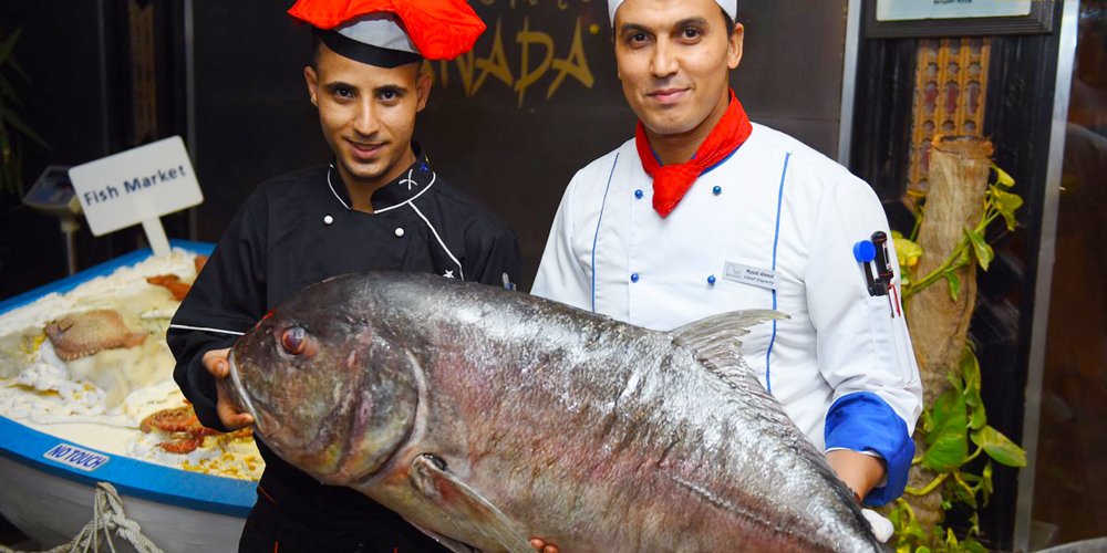 Hurghada Fish Market – Hurghada city Tour – Trips in Egypt