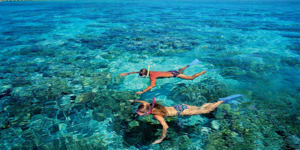 Private Snorkeling Trip in Hurghada | Hurghada Snorking Tour