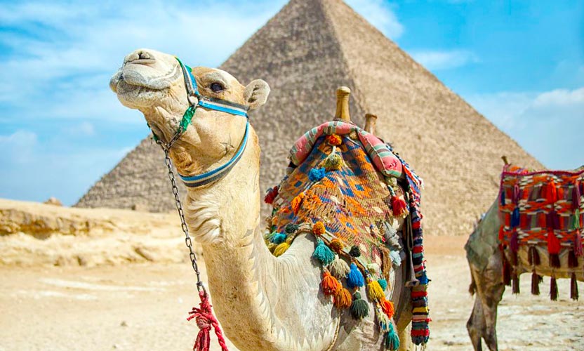 Tour to Pyramids from Port Said - Pyramids Tour from Port Said