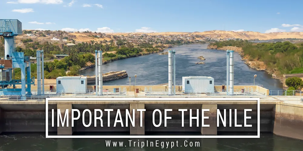 Important of The Nile River Important of The Nile River - Trips in Egypt