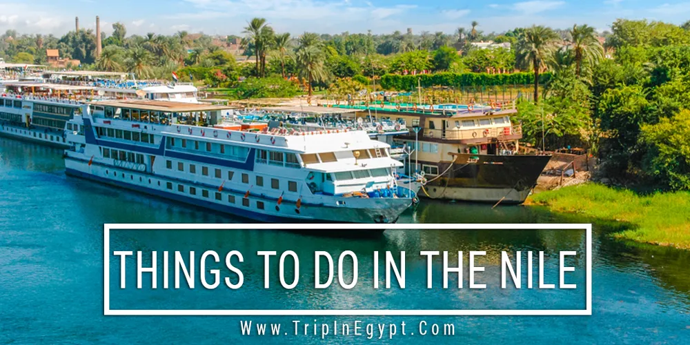 Things to Do in The Nile Things to Do in The Nile - Trips In Egypt