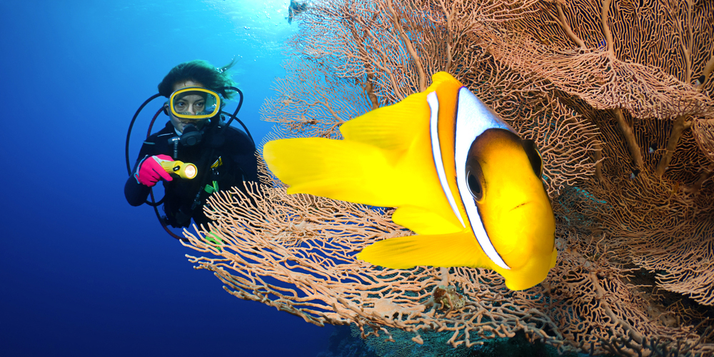 Activities to Do in Marsa Alam - Trips in Egypt