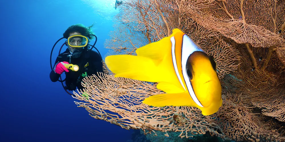 Activities to Do in Marsa Alam - Trips in Egypt