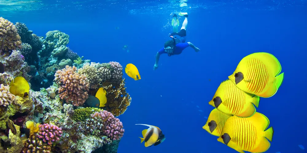 Best Time To Visit Marsa Alam - Trips in Egypt