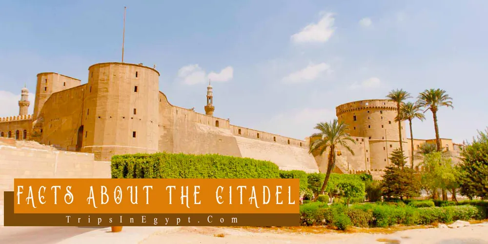 Cairo Citadel Facts Cairo Citadel Facts - Trips In Egypt