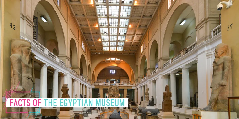 Facts About Egyptian Museum Facts About Egyptian Museum - Trips in Egypt