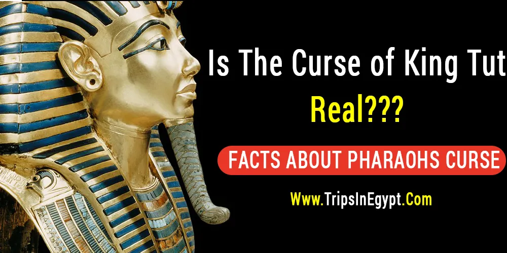 Is The Curse of King Tut Real - Trips in Egypt