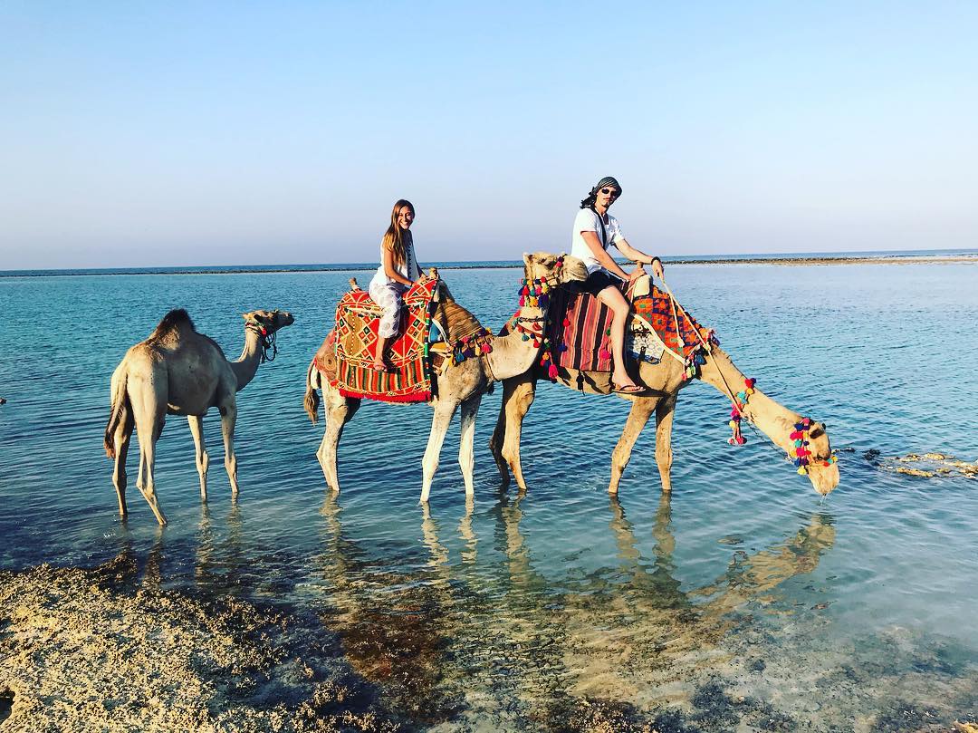 day trips marsa alam