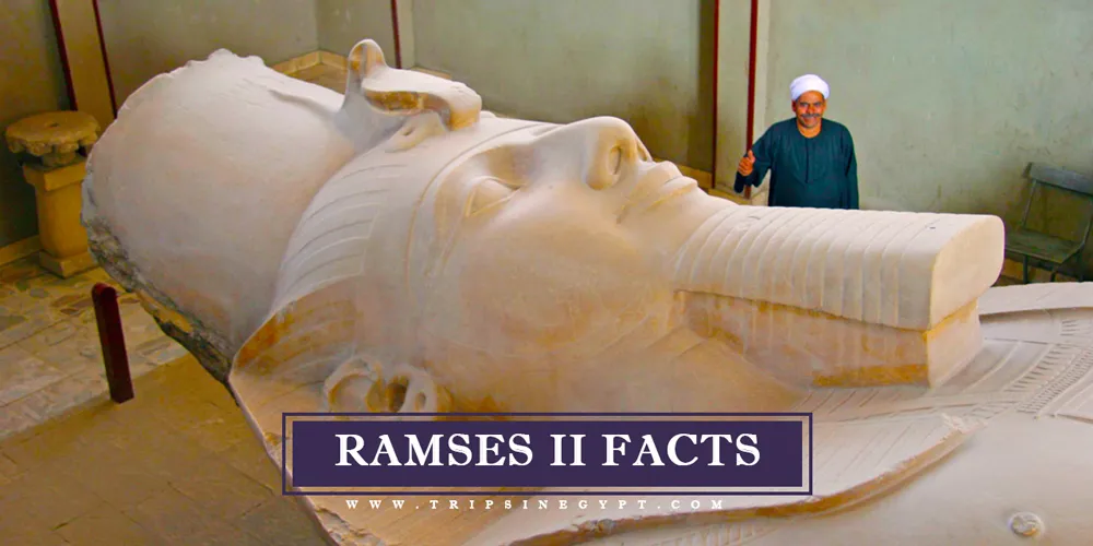 Ramses II Facts Ramses II Facts - Trips in Egypt