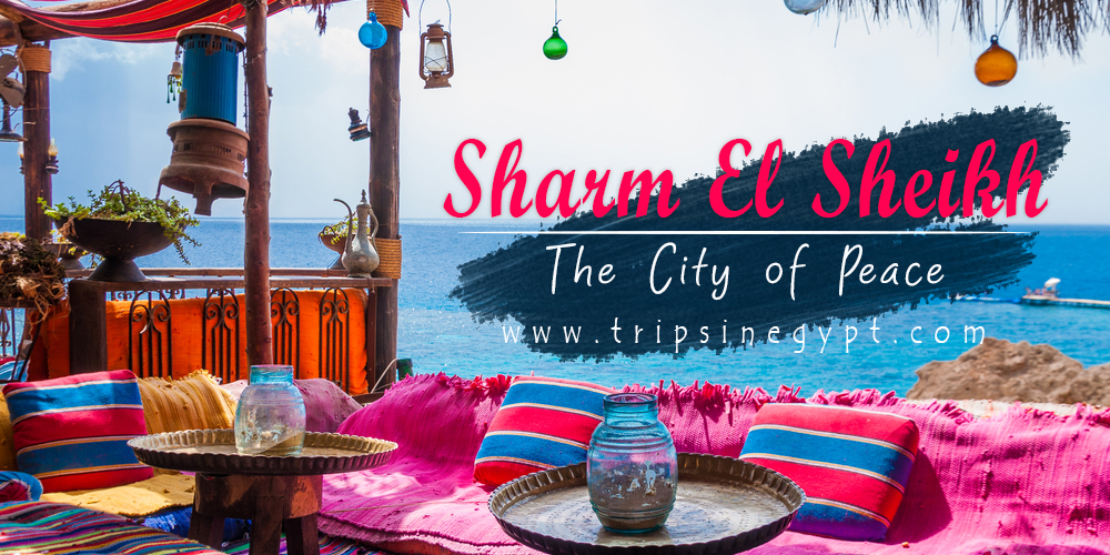 Sharm El Sheikh - Trips In Egypt