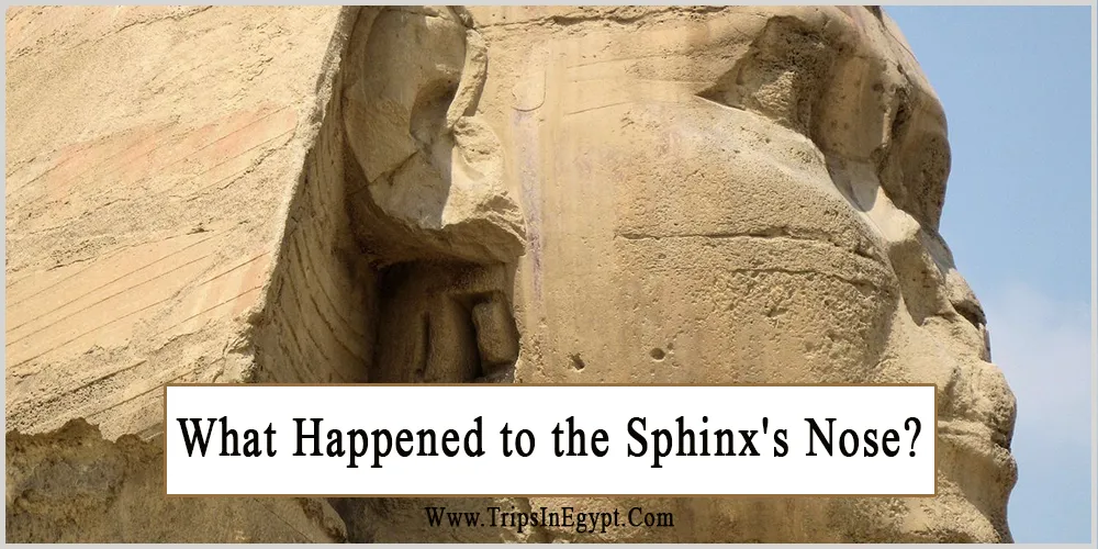 What Happened to the Sphinx's Nose What Happened to the Sphinx's Nose - Trips in Egypt