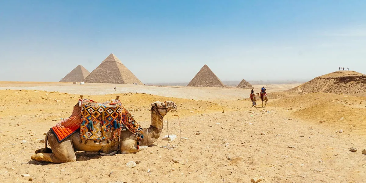 Day Trip from El Gouna to Cairo by Bus