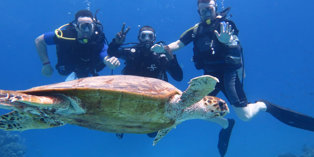 Scuba Diving from EL Gouna Diving Trip in El Gouna Trips In Egypt