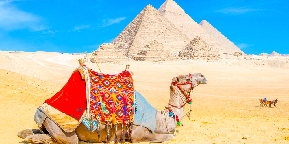 Trips In Egypt The Official Egypt Trips Travel Agency