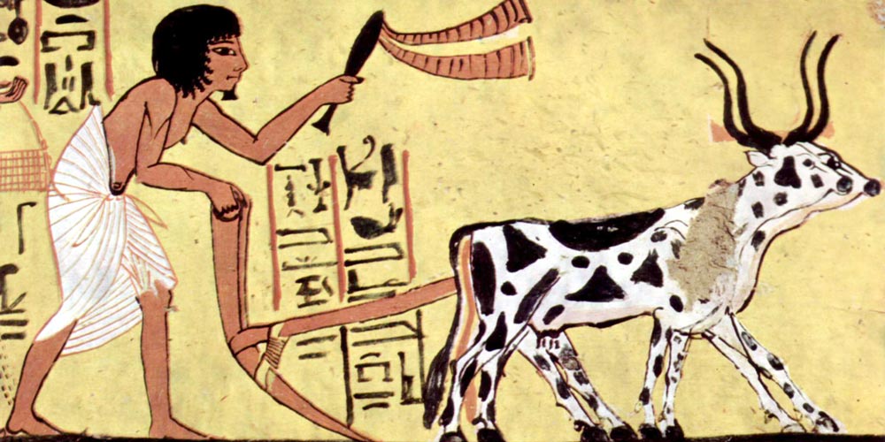 Egypt Middle Kingdom History - Egypt Middle Kingdom Facts