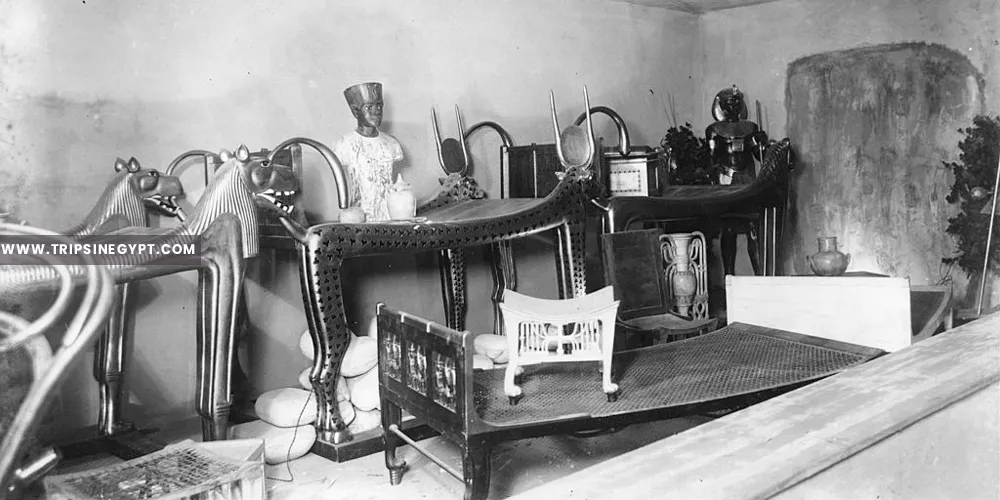 Contents of Tutankhamun Tomb - Trips in Egypt