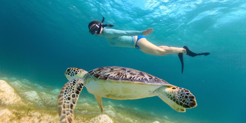 The Red Sea Resorts - Trips in Egypt