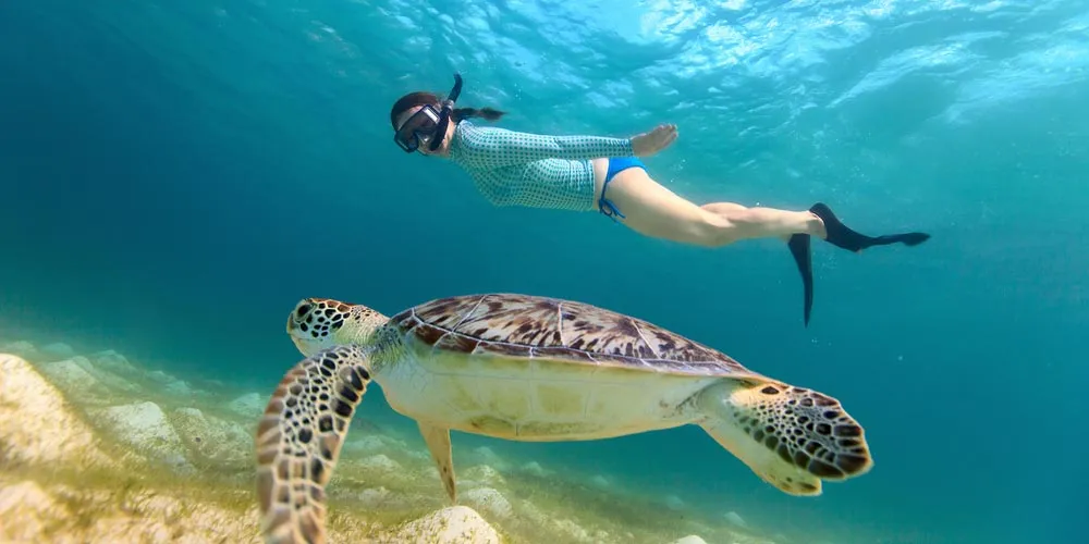 The Red Sea Resorts - Trips in Egypt