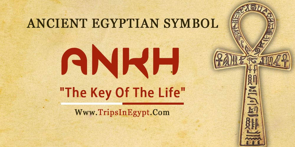 1. "The Meaning Behind the Egyptian Ankh Tattoo"
2. "Top 10 Egyptian Ankh Tattoo Designs"
3. "Ancient Egyptian Symbolism in Ankh Tattoos"
4. "Incorporating the Ankh into Your Egyptian Tattoo Sleeve"
5. "The History of the Ankh Symbol in Egyptian Culture"
6. "Celebrities with Egyptian Ankh Tattoos"
7. "Traditional vs. Modern Ankh Tattoo Styles"
8. "The Spiritual Significance of the Ankh in Egyptian Mythology"
9. "Tips for Caring for Your Egyptian Ankh Tattoo"
10. "Famous Pharaohs and Their Ankh Tattoos" - wide 6