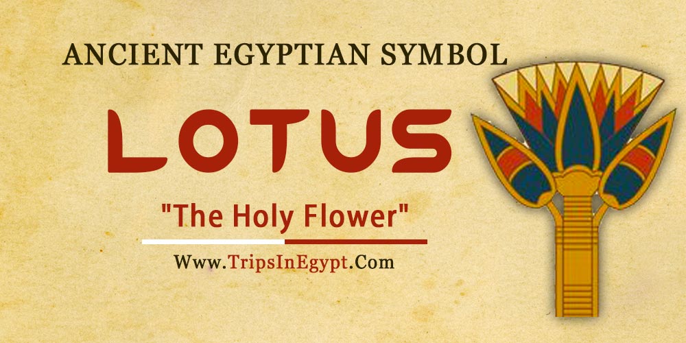 Ancient Egyptian Symbols and Meanings Symbols of Ancient