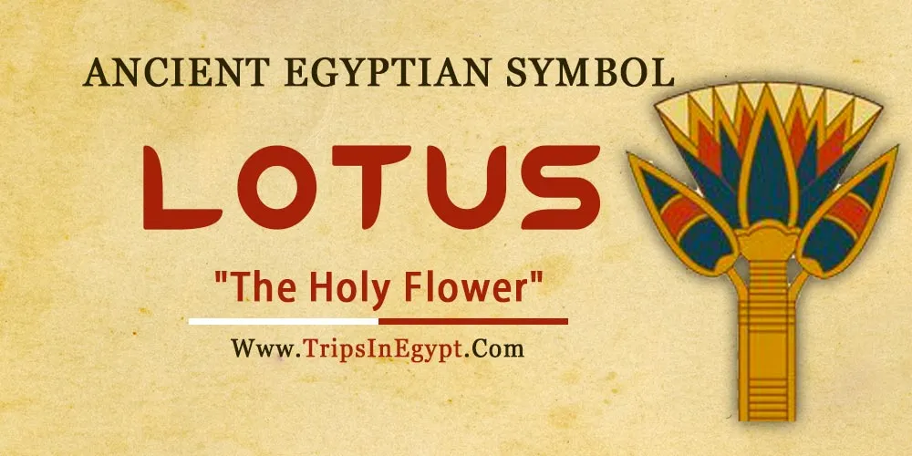 Ancient Egyptian Symbol Lotus Ancient Egyptian Symbol Lotus - Trips in Egypt