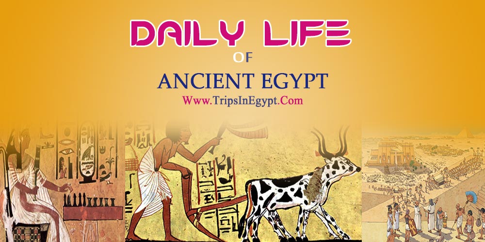 Daily Life In Ancient Egypt Ancient Egyptian Life The Life In Ancient Egypt Daily Life In Ancient Egypt Ancient Egyptian Life The Life In Ancient Egypt