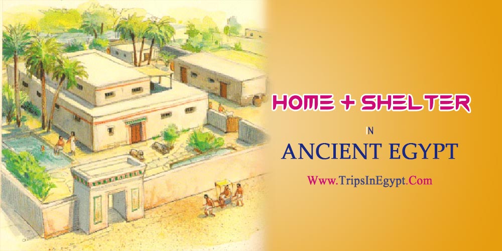 Daily Life In Ancient Egypt Ancient Egyptian Life The Life In Ancient Egypt Daily Life In Ancient Egypt Ancient Egyptian Life The Life In Ancient Egypt