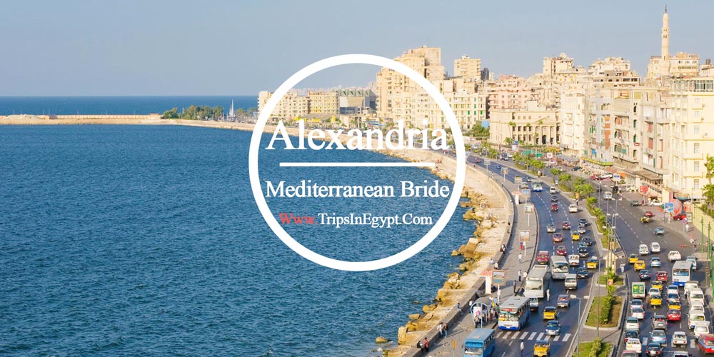 Alexandrai City Alexandrai City - Hurghada Excursions - Trips in Egypt