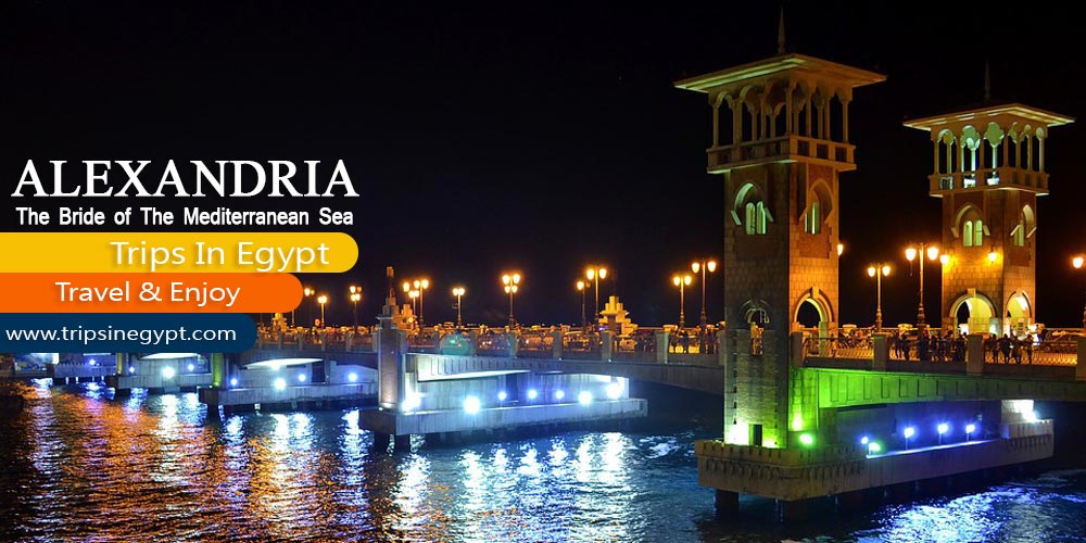 Alexandrai City Alexandrai City - Marsa Alam Tours - Trips in Egypt