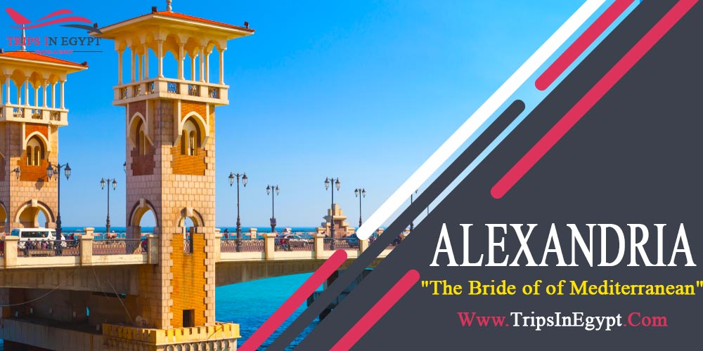 Alexandria City Alexandria City - Egypt Classic Tours Packages - Trips In Egypt