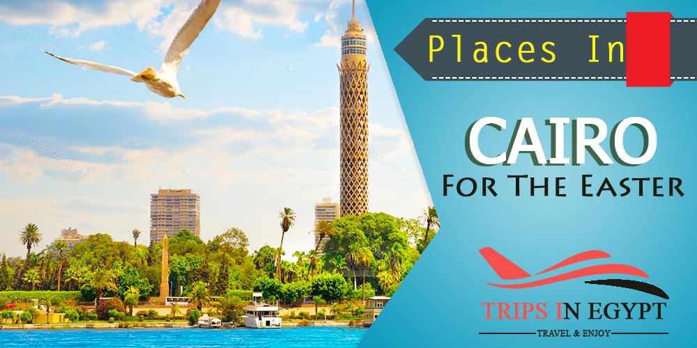 Cairo City Cairo City - Egypt Easter Tours - Trips in Egypt