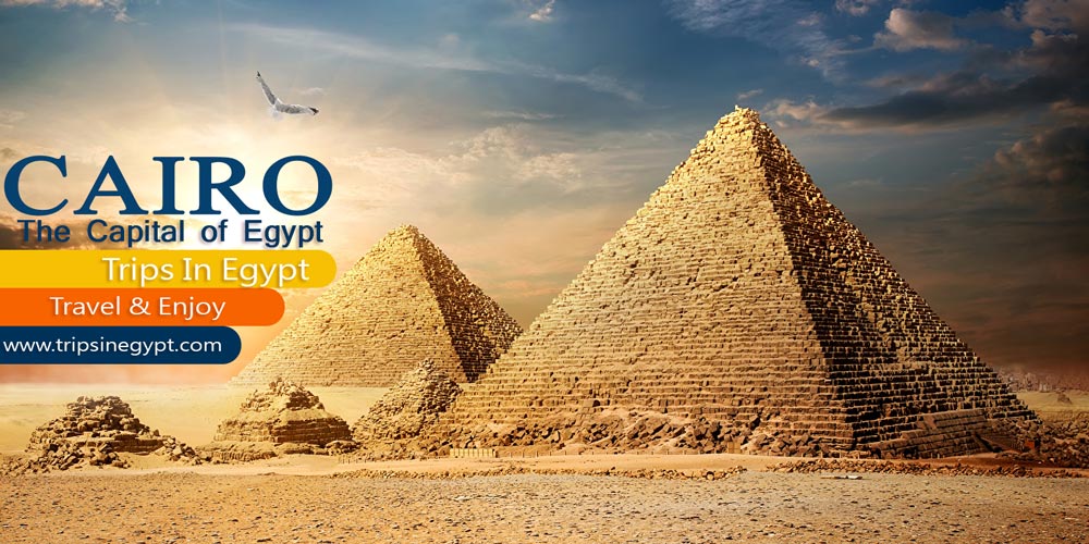 Cairo City Cairo City - Marsa Alam Tours - Trips in Egypt