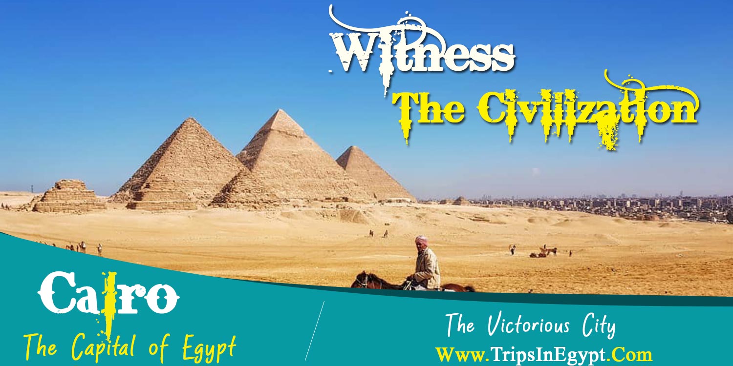 Cairo City Cairo City - Safaga Shore Excursions - Trips in Egypt