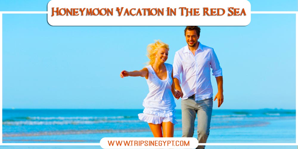 Hurghada City Hurghada City - Honeymoon Packages to Egypt - Trips in Egypt