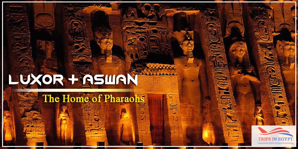 Aswan City Luxor & Aswan - Upper Egypt - Egypt Wheelchair Accessible Tours - Trips in Egypt