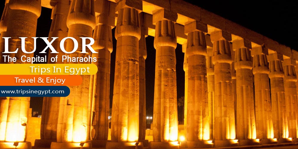 Marsa Alam Tours Marsa Alam Tours | Marsa Alam Excursions | Marsa Alam Day Tours