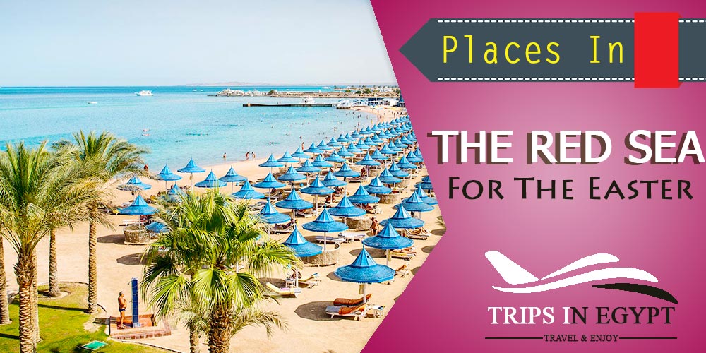 Red Sea Red Sea - Egypt Easter Tours - Trips in Egypt