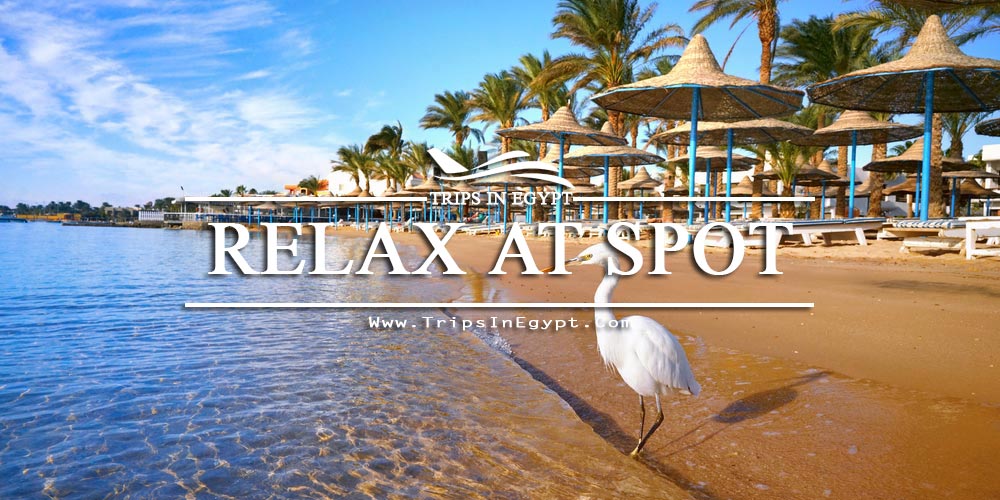 Red Sea Resorts Red Sea Resorts - Egypt Red Sea Tours - Trips in Egypt