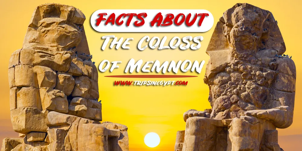 Colossi of Memnon Facts Colossi of Memnon Facts - Trips in Egypt