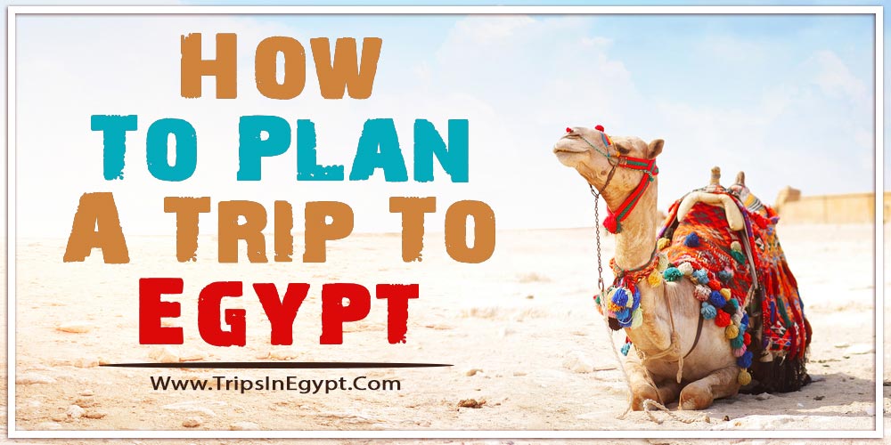 How To Plan A Trip To Egypt - Trips in Egypt