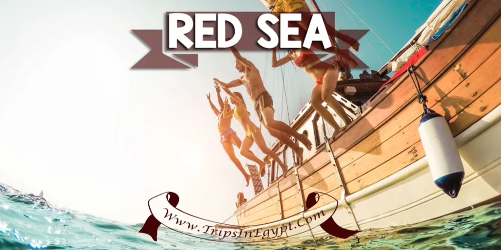 Red Sea - Best Places to Visit in Egypt - ww.tripsinegypt.com