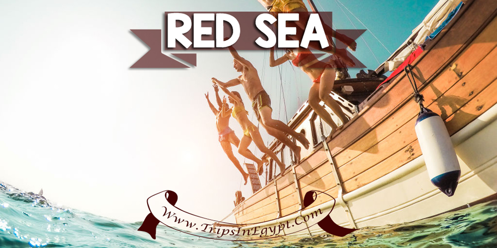 Red Sea Red Sea - Best Places to Visit in Egypt - ww.tripsinegypt.com