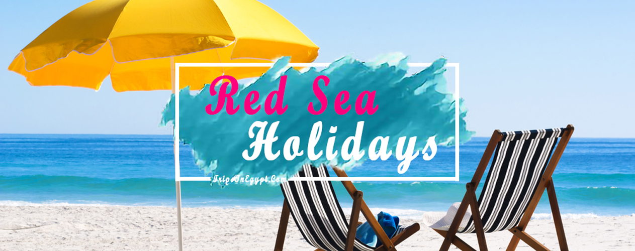 Egypt Red Sea Holidays - Trips In Egypt