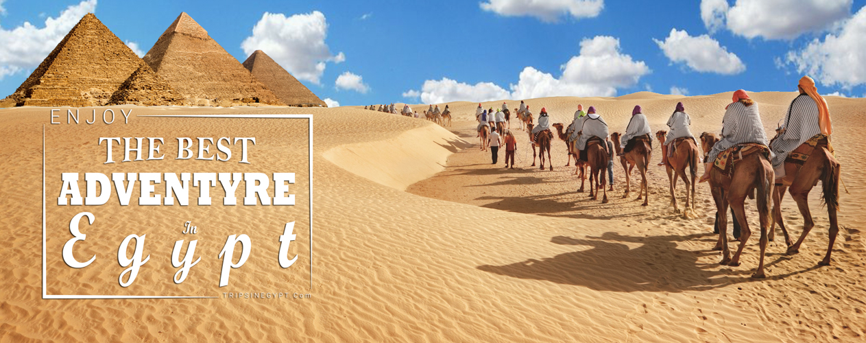 Egypt Adventure Tours - Trips in Egypt