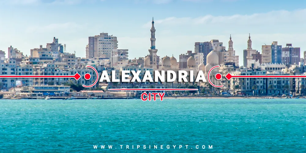 Alexandria City Alexandria City - Cities To Visit In Egypt - Trips in Egypt