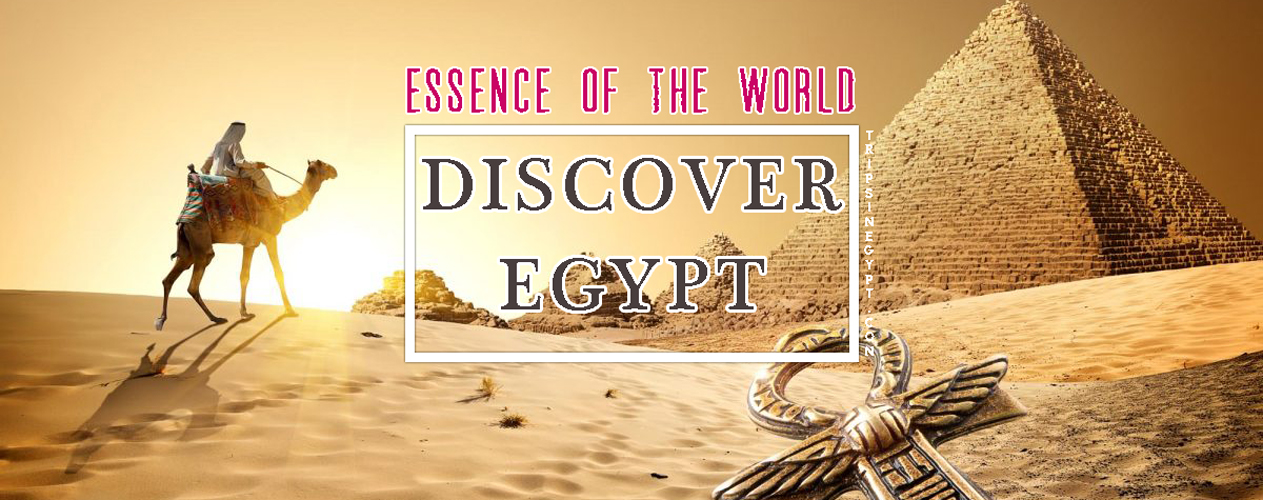 Discover Egypt - Trips In Egypt